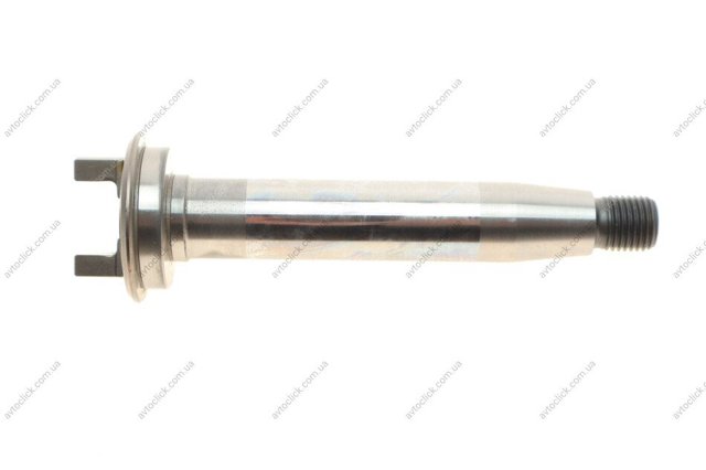  Bosch 2466100034