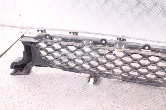 Решітка переднього бампера, центральна Jaguar T2H4014 ціна, від 44.99 USD