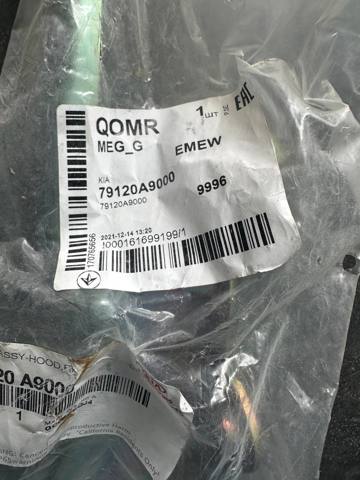 79120A9000 Hyundai/Kia Петля капота, права