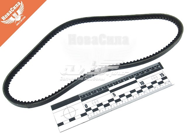 Клиновий ремінь Dayco 10A0813C ціна, від 3.34 USD