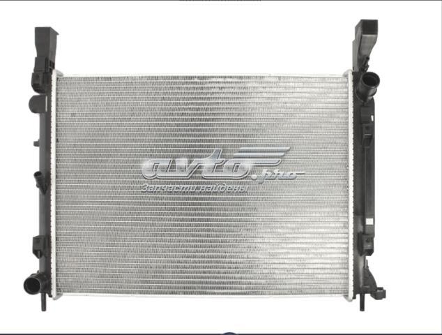 Купити 606208A1 Polcar Радіатор двигуна