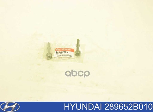 Болт вихлопної системи (глушника) Hyundai/Kia 289652B010 ціна, від 20.34 USD