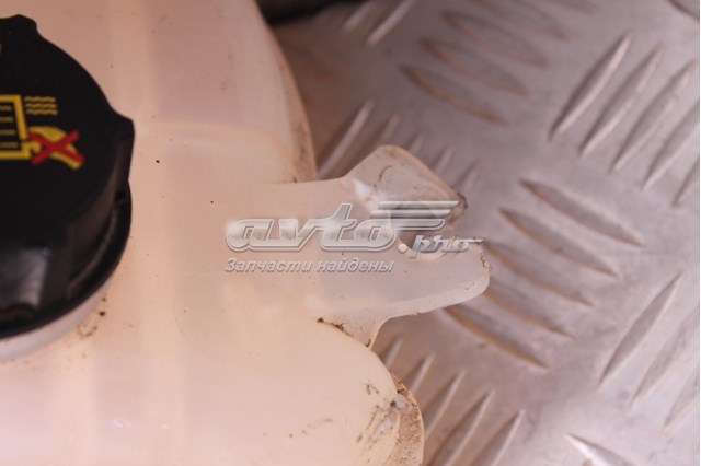 Купити DG938A080AD Ford Водяний бачок системи охолодження