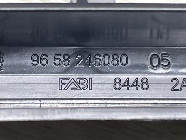 9658246080 Peugeot/Citroen 