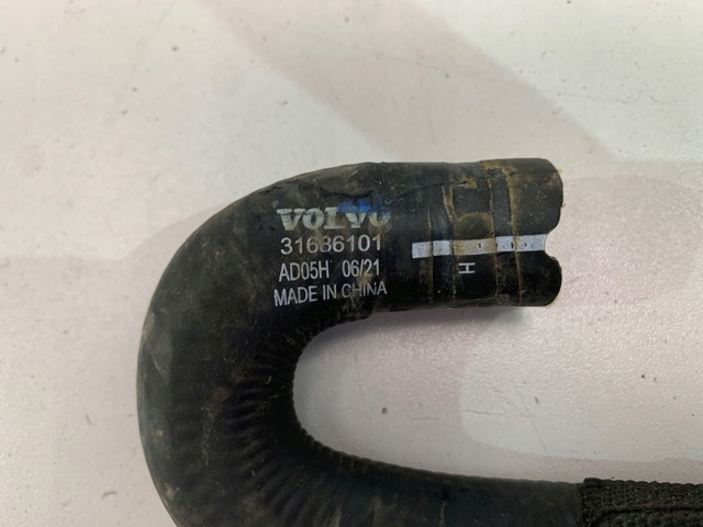 31686101 Volvo 