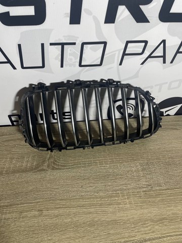 Купити 18801310 BMW Захисна решітка радіатора