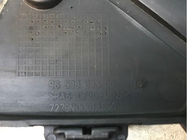 9659869380 Peugeot/Citroen 