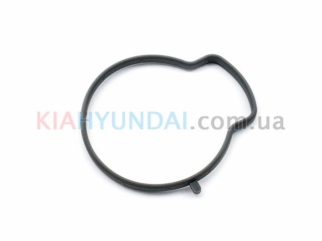 Прокладка дросельної заслінки на Hyundai Santa Fe III DM
