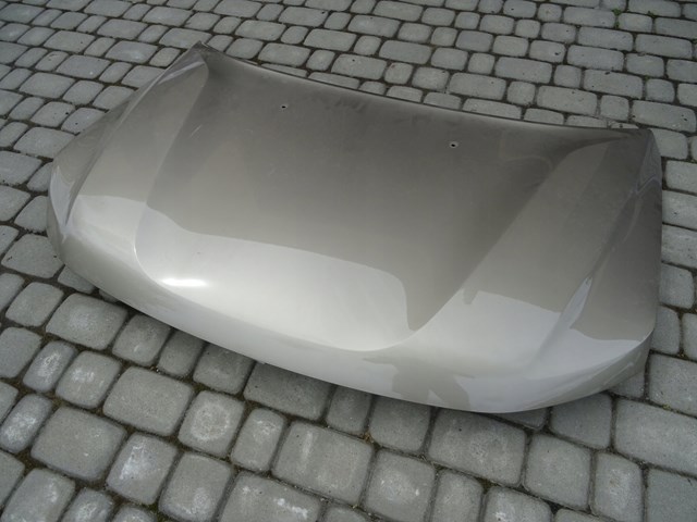 Капот 651008347R Renault (RVI)