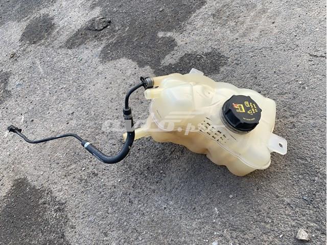 Бачок системи охолодження двигуна розширювальний Ford HG938A080BA ціна, від 25.34 USD