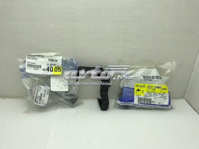 25975481 General Motors 