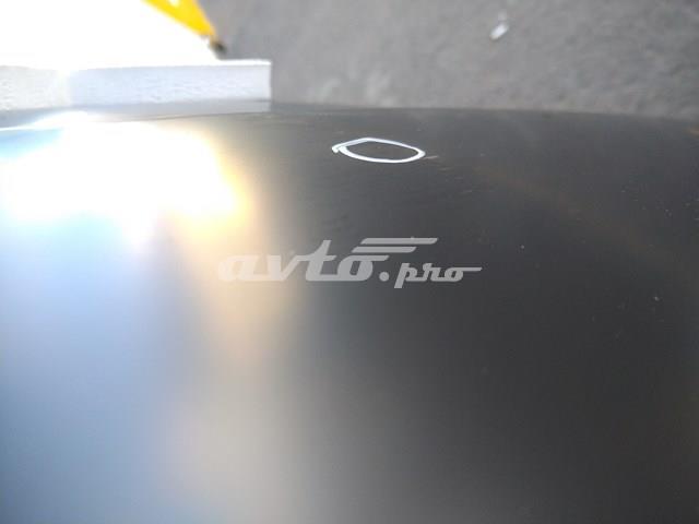 Капот FPS FP3253280