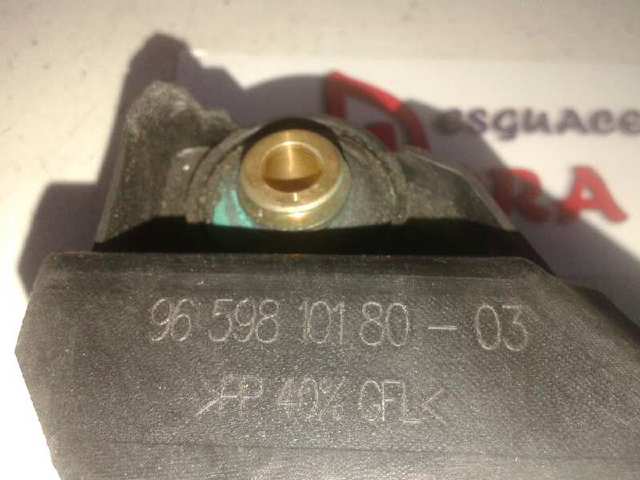 9659810180 Peugeot/Citroen