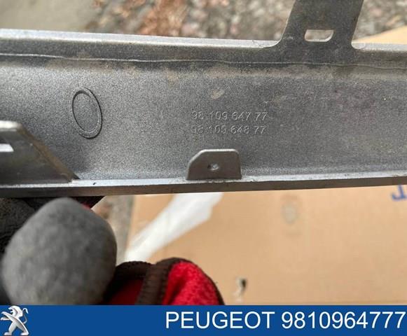 FP5427991 FPS Решітка радіатора