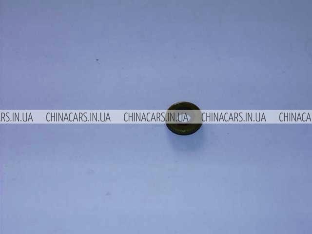 Купити 1022004500 Geely Шайба болта клапанної кришки