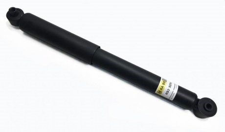 RS315374 Raiso Амортизатори задні