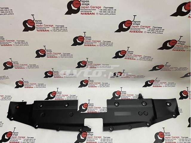620786CA0B Nissan/Infiniti 