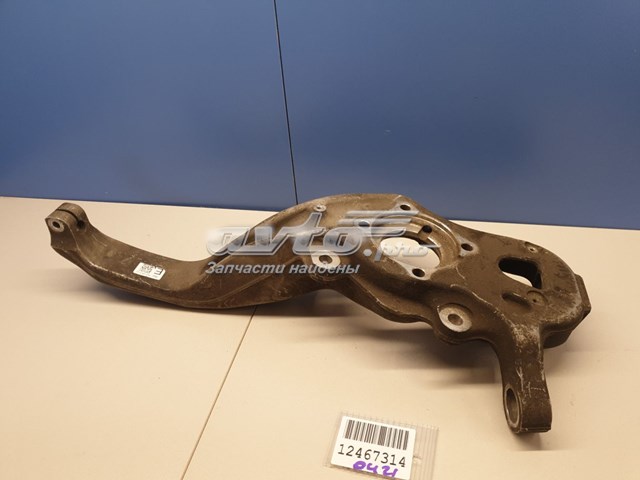 Цапфа поворотного кулака Land Rover LR093817
