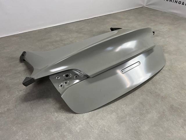 Двері багажника Signeda PTS91005AQ