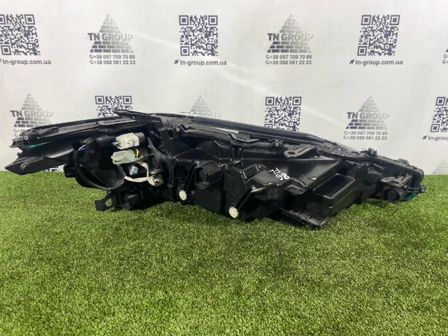 Фара Toyota 8115006C91