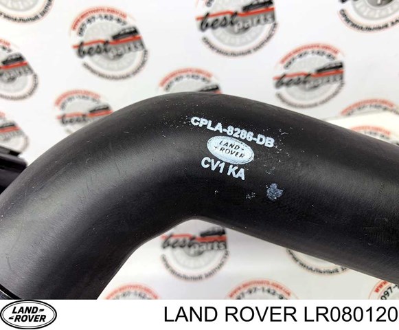Шланг/патрубок радіатора охолодження, нижній Land Rover LR034652