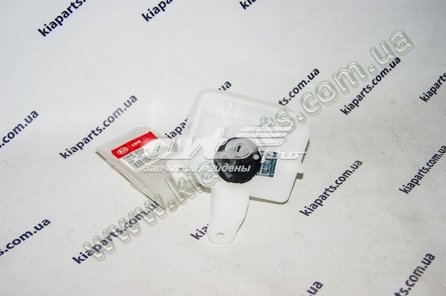 Бачок системи охолодження 254313J000 Hyundai/Kia