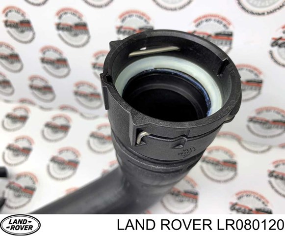 Шланг/патрубок радіатора охолодження, нижній LR034652 Land Rover