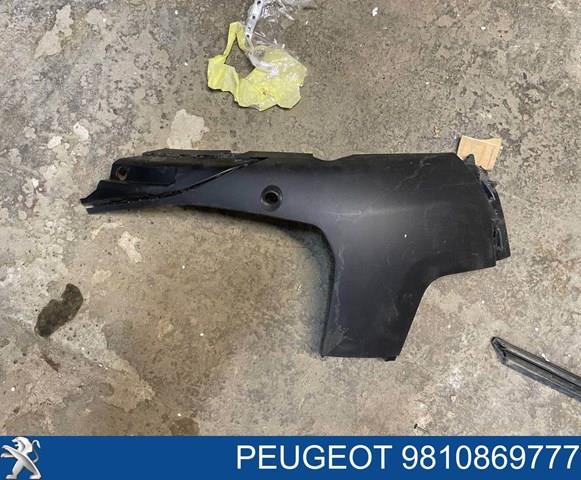 Купити 9810869777 Peugeot/Citroen 