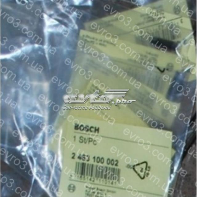 2463100002 Bosch 