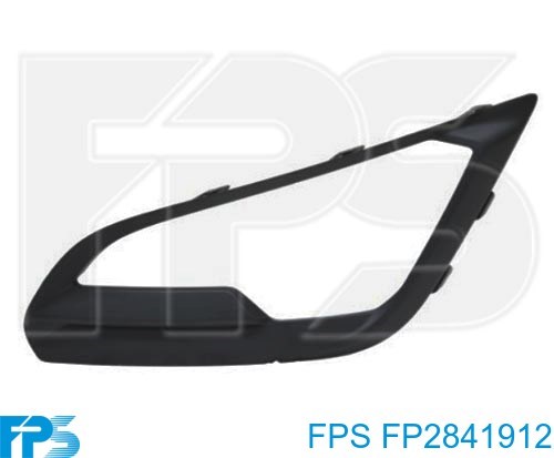 FP2841912 FPS 