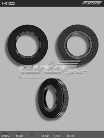  F01223 Emmetec