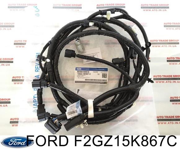 F2GZ15K867C Ford 