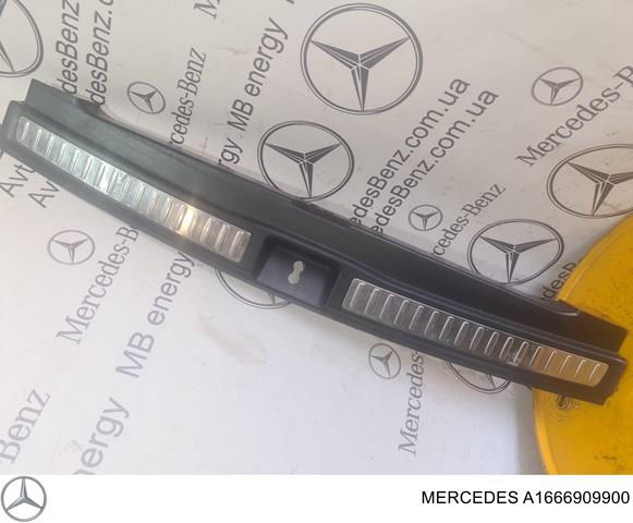 A1666909900 Mercedes Накладка перегородки