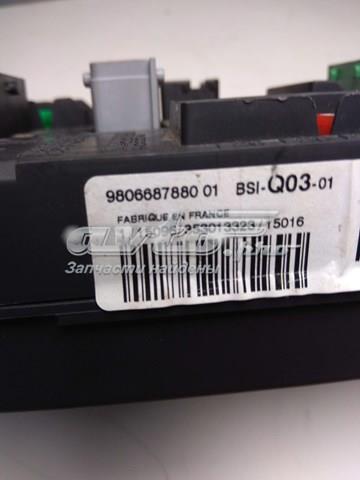  Peugeot/Citroen 9806687880