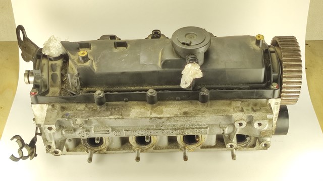Головка блоку циліндрів Renault (RVI) 110421067R