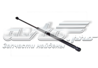 Купити S215605010 Chery 