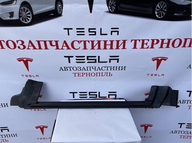 Купити 109050400F Tesla Ущільнювач скла задніх дверей правої, внутрішній (планка)
