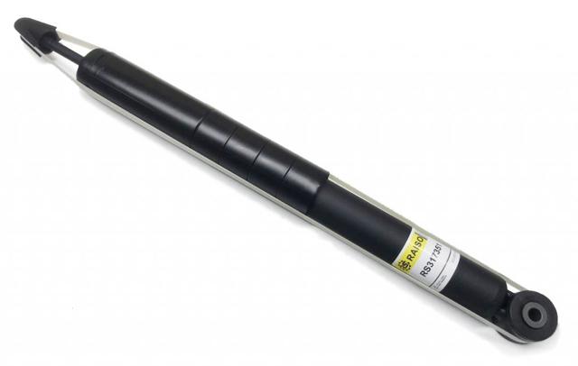 Задній амортизатор Raiso RS317351