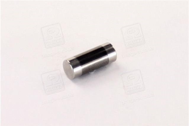  2463100002 Bosch