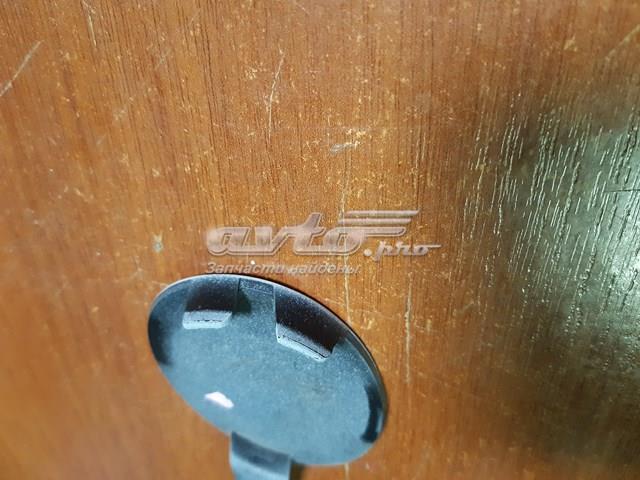 Заглушка бампера буксирувального гака, передня Tesla 108417300E ціна, від 3.78 USD