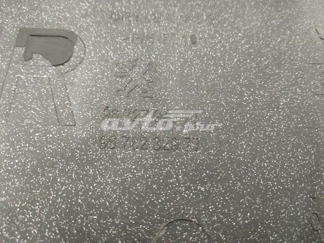 9672794377 Peugeot/Citroen 