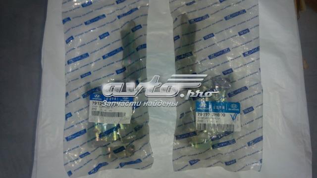 Купити 791202H000 Hyundai/Kia Завіса капота права