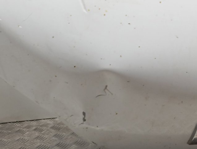 5801492603 Iveco Капот