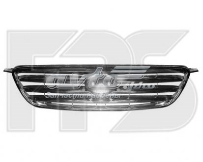 Решітка радіатора на BYD F3  