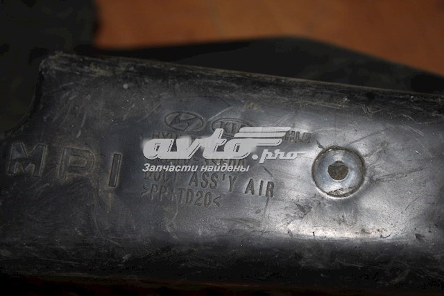 Повітрозабірник повітряного фільтра 282103S600 Hyundai/Kia