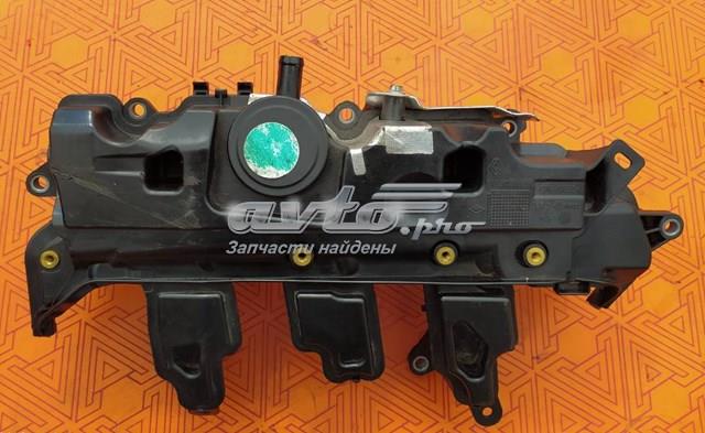 118305765R Renault (RVI) Масловіддільник газів