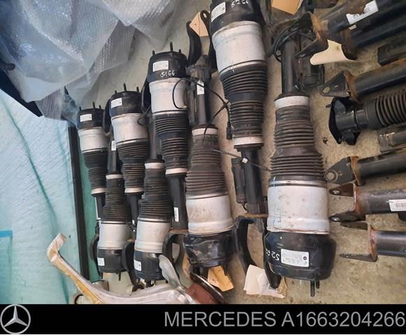 A1663204266 Mercedes 