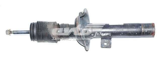  2T1418057BL Ford