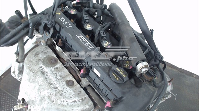 CS324AA Ford 