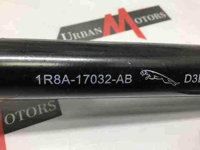 XR852021 Jaguar 